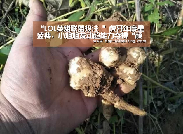 “LOL英雄联盟投注 ”虎牙年度星盛典,小姐姐发动超能力夺得“颜值仙女”第一名(图2) 官方电竞竞猜平台