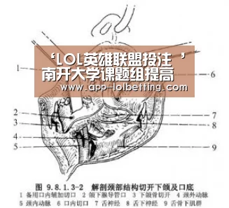 ‘LOL英雄联盟投注 ’南开大学课题组提高应力传感器性能(图3) 官方电竞竞猜平台