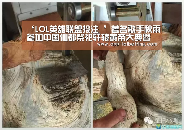 ‘LOL英雄联盟投注 ’著名歌手秋雨参加中国仙都祭祀轩辕黄帝大典暨缙云乡贤大会(图1) 官方电竞竞猜平台